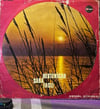Kemâl Gürses – Bestenigâr & Saba Faslı / Fasıl Vol. 6 (Aras Plak L.P. 21010) LP