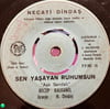 Necati Dindaş - Acı Hatıra / Sen Yaşayan Ruhumsun (Pollyanna Plak 45'lik)