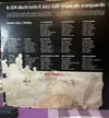 Ray Charles - I Grandi del Jazz (GdJ 29) Orijinal İtalyan Baskı LP