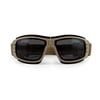 WILEY X LYNX Balistik Goggle (2 Lens)