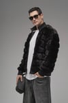KING BRICH 221 PELUS MONT