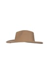 Parton Hat
