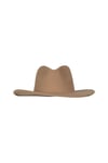 Parton Hat