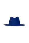 Parton Hat