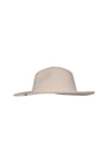Parton Hat