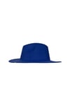 Parton Hat