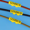 tag-ics-100-3-sticks-yellow-.-ics-yapi--8c7d-.jpg