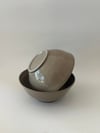 TERRA BOWL