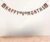 6 AY YAZILI AYICIKLI EVA BANNER