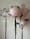 BALLETCORE DREAM FOLYO BALON KONSEPT