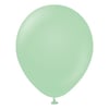 Makaron Su Yeşili Balon (10 Adet)