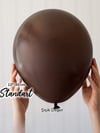 Pastel Çikolata Kahve Balon (10 Adet)