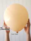 Pastel Sütlü Kahve Balon (10 Adet)