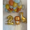 RENKLİ SAFARİ FOLYO BALON KONSEPT