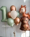 WOODLAND FOLYO BALON KONSEPT