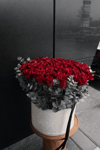 101 Rose
