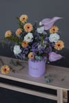 Aster Box