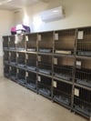 Krom Blok Eco Kedi Kafesi
