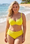 Kadın Sarı Büyük Beden Taş İşlemeli Astarlı Bikini Takım HZL25S-LC2099