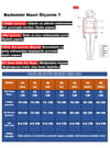 Kadın Siyah Taş İşlemeli Desenli 3 Parça Etekli Bikini Takım HZL25S-LC3326