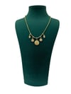 14K Gold Renk Kuzey Yıldızlı Charmlı VIP Kolye (40+5 CM)