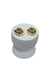 14K Gold Renk Mini Çekirdek VIP Küpe (1 CM)