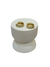 14K Gold Renk Mini Taş Dökümlü Sıralı Halka Küpe (1 CM)
