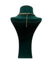 14K Gold Renk Pul Detaylı VIP Kolye (45+5 CM)
