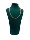 14K Gold Renk Pul Detaylı VIP Kolye (45+5 CM)