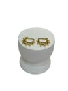 14K Gold Renk Zil Model VIP Mini Küpe (1 CM)