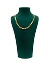Turuncu Boncuklu Gold Dövme Boncuk Kolye (42+5 CM)