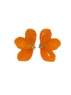 Turuncu Renk Yarım Çiçek Akrilik Küpe (6 cm)