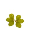 Yeşil Renk Yarım Çiçek Akrilik Küpe (6 CM)