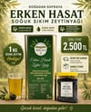  ERKEN HASAT ZEYTİNYAĞI + 1 KG ZEYTİN HEDİYE