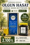 ZEYTİNYAĞI + 1 KG ZEYTİN HEDİYE 