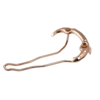 BROOKS SELE B17 SPECLAL BAL RENGI B211 A17203