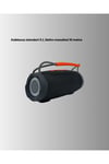 10W Çift Çıkış Güçlü Bluetooth Hoparlör Eller Serbest