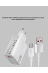 120W Hızlı Şarj Başlığı Ultra Güçlü Type-C Adaptör Kablo Dahil