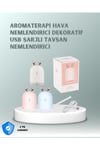 200 ml Tavşan Kulaklı Ultrasonik Hava Nemlendirici ve Gece Lambası
