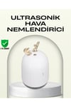 ABS+PP Malzemeli Taşınabilir 220 ml USB Mist Nemlendirici