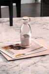 Bardak Blender Smoothie Meyve Sıkacağı Şarjlı Cam Taşınabilir