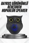 Bluetooth Hoparlör TWS Kablosuz RGB Işıklı Dekoratif Taşınabilir Baykuş
