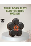 Bluetoothlu Akıllı Boks Antrenman Cihazı Işıklı Hedefli Kardiyo ve Fitness Aleti