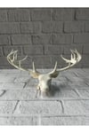 Dekoratif Geyik Başı Heykel 25 cm Modern Minimal Tasarım