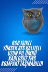 Siyah Bluetooth Hoporlör Baykuş Speaker Bluetooth 5.0 Bağlantılı