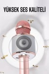 Taşınabilir Bluetooth Karaoke Mikrofon: Hafıza Kart Girişli, Etkileyici Performans
