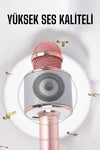 Taşınabilir Bluetooth Karaoke Mikrofon: Hafıza Kart Girişli, Etkileyici Performans