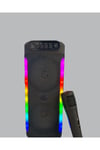 Taşınabilir Şarjlı Hoparlör USB, SD Kart, AUX Girişli