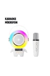 TK-66 KARAOKE SPEAKER