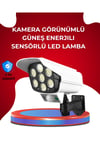 Uzaktan Kumandalı Güneş Enerjili LED Güvenlik Lambası Kamera Tipi Hareket Sensörlü